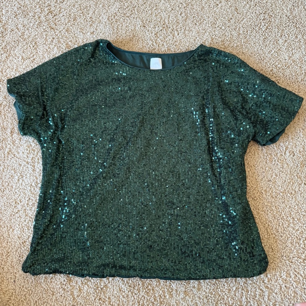 Sequin Green Top